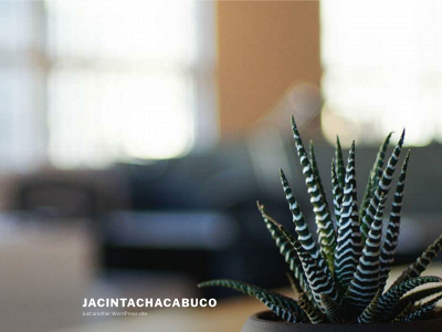 jacintaropachacabuco.com snapshot