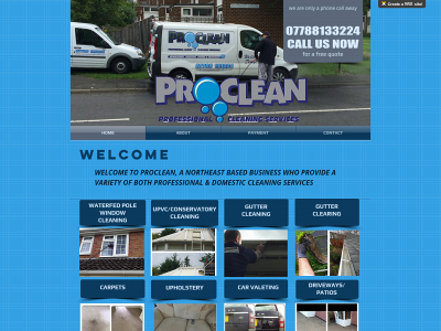 pro-clean.info snapshot
