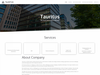 tauritus.com snapshot
