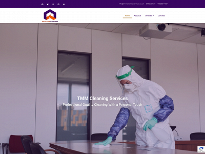tmmcleaningservices.co.uk snapshot