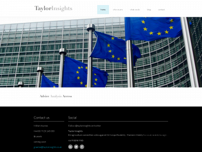 taylorinsights.co.uk snapshot