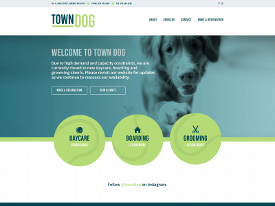 towndog.com snapshot