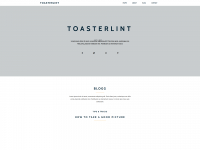 toasterlint.com snapshot