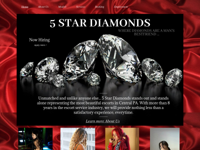 5stardiamonds.com snapshot