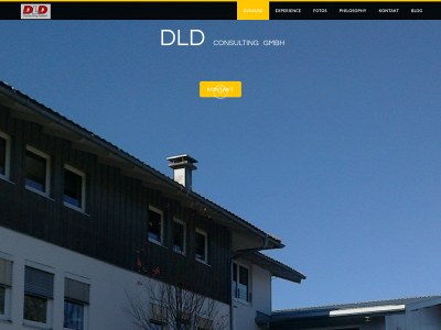 dld-consulting.weebly.com snapshot
