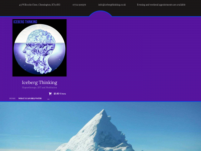 icebergthinking.co.uk snapshot