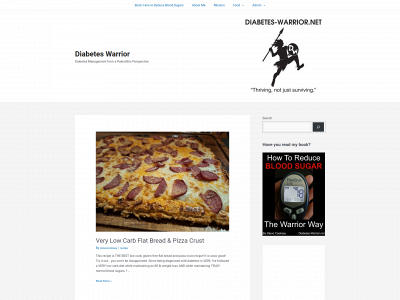 diabetes-warrior.net snapshot