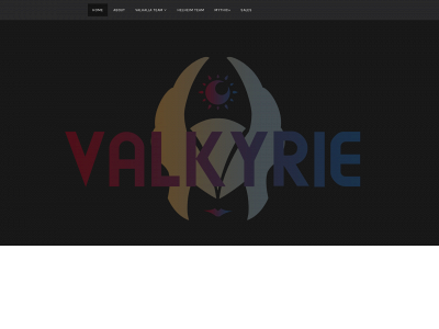 valkyrie-guild.com snapshot