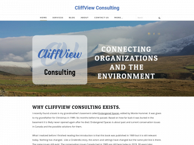www.cliffviewconsulting.ca snapshot
