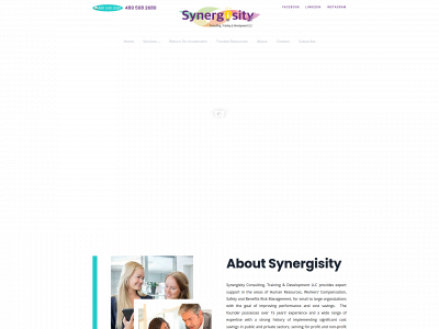 synergisity.com snapshot