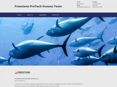 freestoneoceans.com snapshot