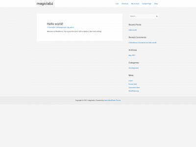 magiclabz.com snapshot