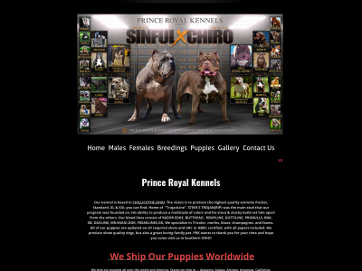 www.princeroyalkennels.com snapshot