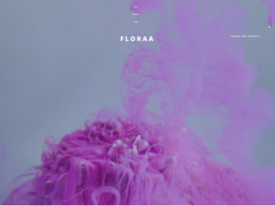 floraa.co snapshot