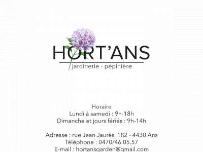 hortans.be snapshot