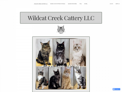 www.wildcatcreekcattery.com snapshot