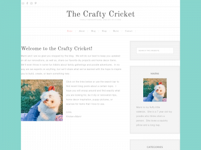 craftycricket.blog snapshot