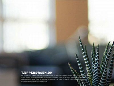 taeppeboersen.dk snapshot