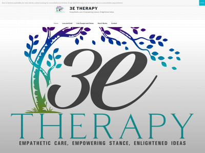 3etherapy.com snapshot