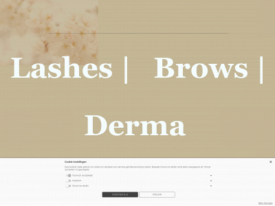 lashes-brows-derma.nl snapshot
