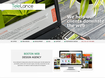 telelance.com snapshot
