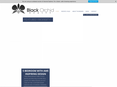 blackorchidrealty.com snapshot