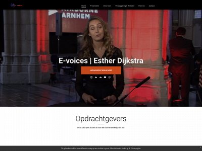 e-voices.nl snapshot