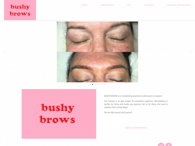 bushy-brows.com snapshot
