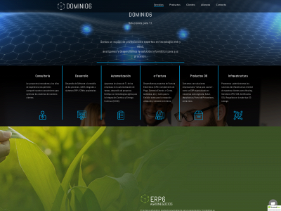 dominio6.com snapshot