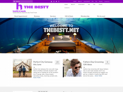 thebestt.net snapshot