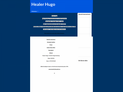 healerhugo.info snapshot