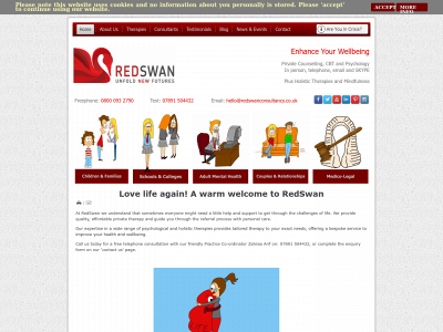 redswanconsultancy.co.uk snapshot