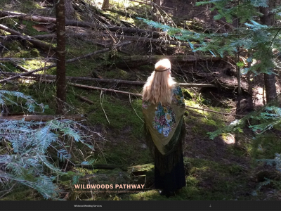 wildwoodspathway.com snapshot