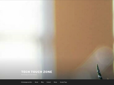 techtouchzone.com snapshot