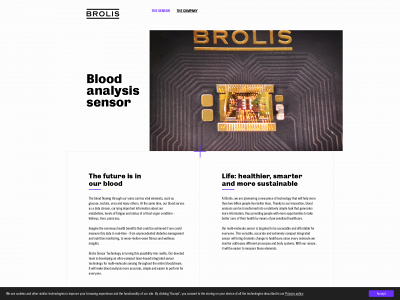 brolis-sensor.com snapshot