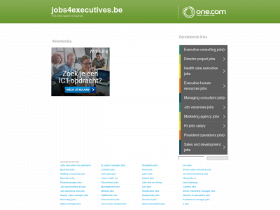 jobs4executives.be snapshot