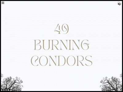 49burningcondors.com snapshot