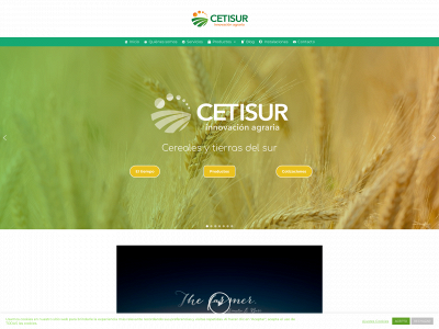 cetisur.com snapshot