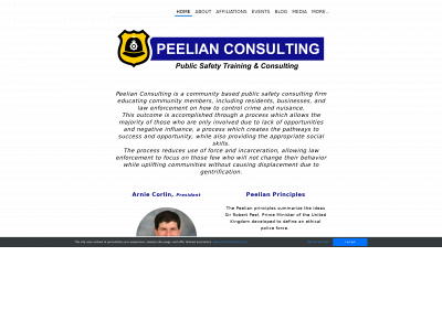 www.peelianconsulting.com snapshot