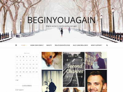 beginyouagain.com snapshot
