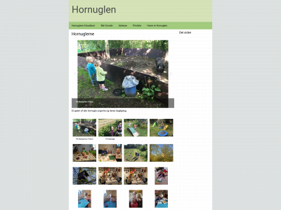 hornuglennina.dk snapshot