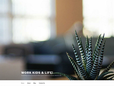workkidslife.com snapshot