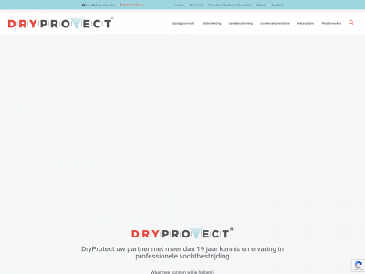dryprotect.be snapshot
