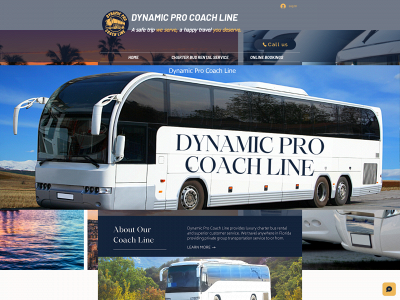 www.dynamicprocoachline.com snapshot