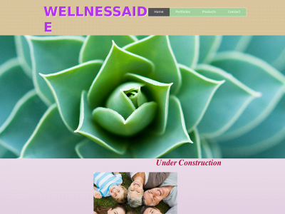 wellnessaide.com snapshot