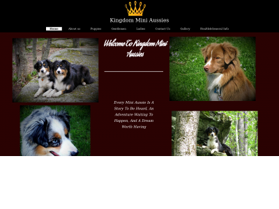 kingdomminiaussies.com snapshot