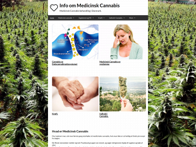 infomedicinskcannabis.dk snapshot