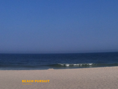 beachpursuit.com snapshot