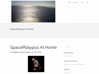 spaceplatypus.com snapshot