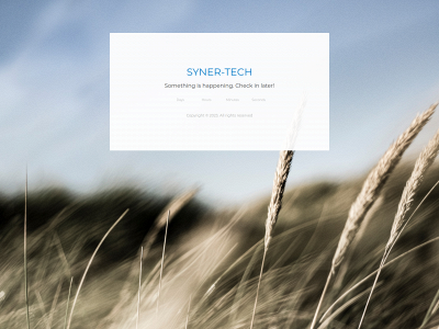syner-tech.pl snapshot